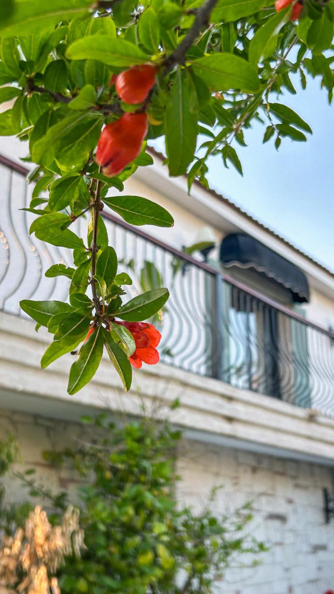 N Hotels Cesme Dalyankoy  Ngoại thất bức ảnh