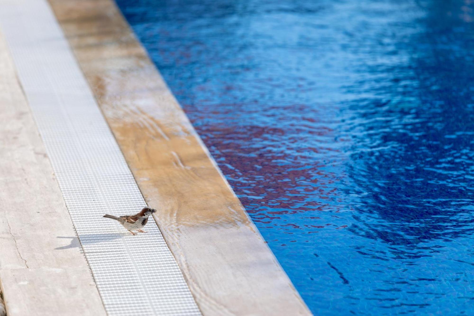 N Hotels Cesme Dalyankoy  Ngoại thất bức ảnh